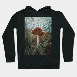 wild mushroom Hoodie